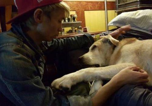 国产人与狗,探寻人类与动物和谐共生的奥秘 第2张 国产人与狗,探寻人类与动物和谐共生的奥秘 第2张